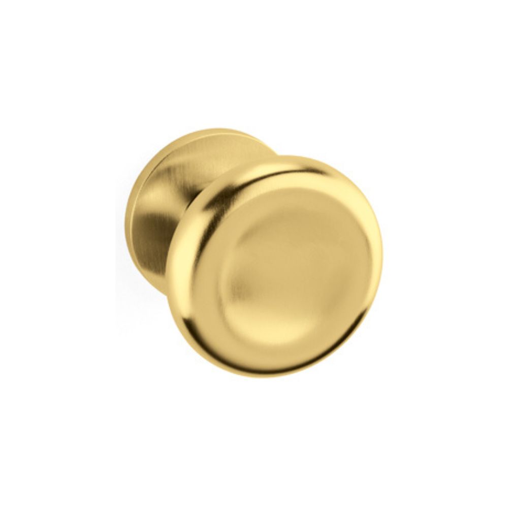 Olivari – Coppia POMOLO PADDLE ottone SUPERORO SATINATO P264RB8B TS